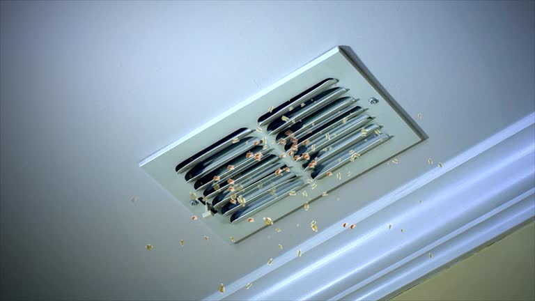 Best Air Duct Cleaning Near Me in Pleasanton, TX